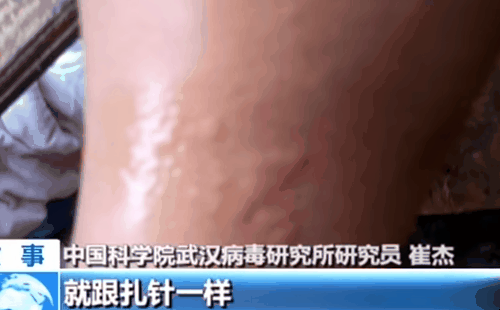 대만 매체가 공개한 중국중앙방송(CCTV) 영상 캡처